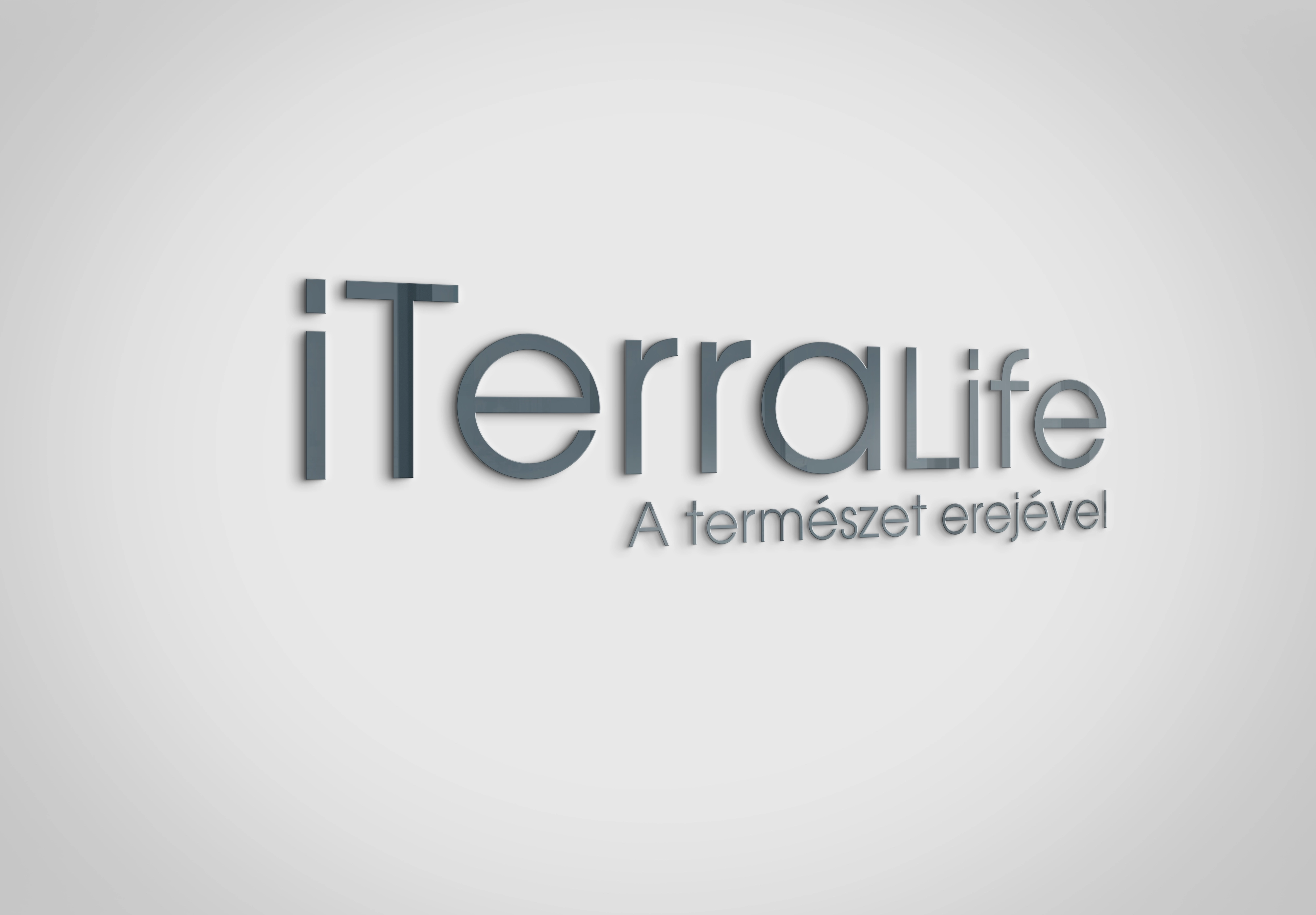 logó- és márkaépítés